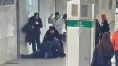 Задержание пассажира метро, стрелявшего в салон вагона из сигнала охотника на станции метро Василеостровская в Санкт-Петербурге - РИА Новости, 1920, 24.03.2025