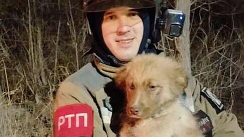 В Приморье пожарные спасли щенка, провалившегося в колодец В Приморье пожарные спасли щенка, провалившегося в колодец - РИА Новости, 1920, 25.03.2025