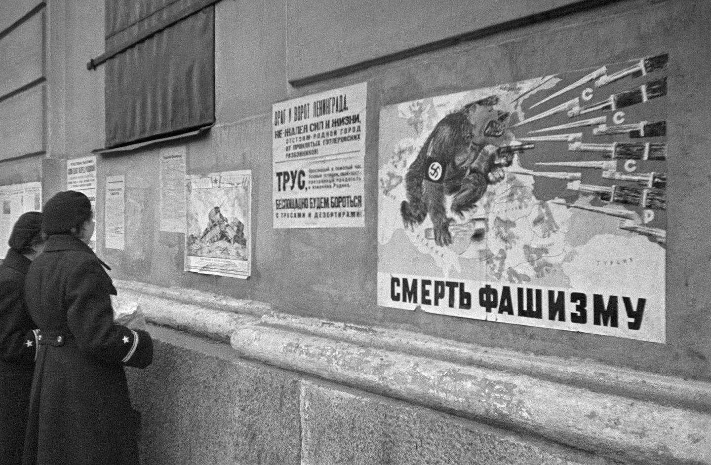 Военнослужащие Балтийского флота у плакатов Окна ТАСС на стене здания в блокадном Ленинграде Военнослужащие Балтийского флота у плакатов Окна ТАСС на стене здания в блокадном Ленинграде
