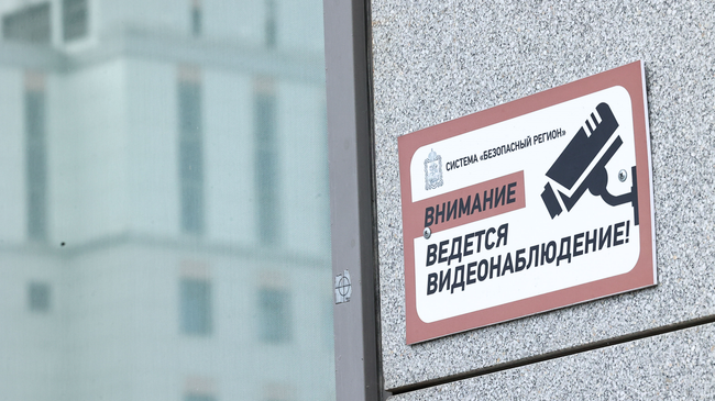 Камеры системы Безопасный регион подключили к ИИ-проекту по выявлению на улицах Московской области безнадзорных животных 