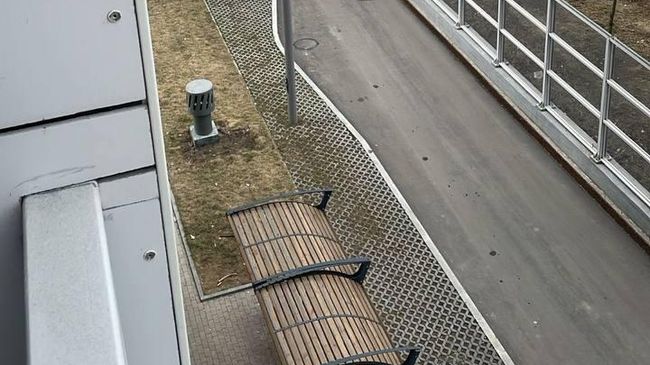 Мужчина выбросил кота из окна квартиры, расположенной на 4-м этаже жилого дома в Марьиной Роще
