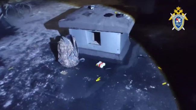 Видео с крыши дома в Мурманске, откуда велась стрельба