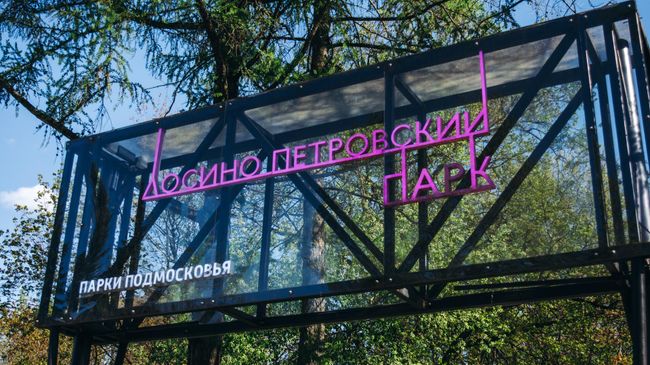Движение первых поддержало астрономический фестиваль в Подмосковье