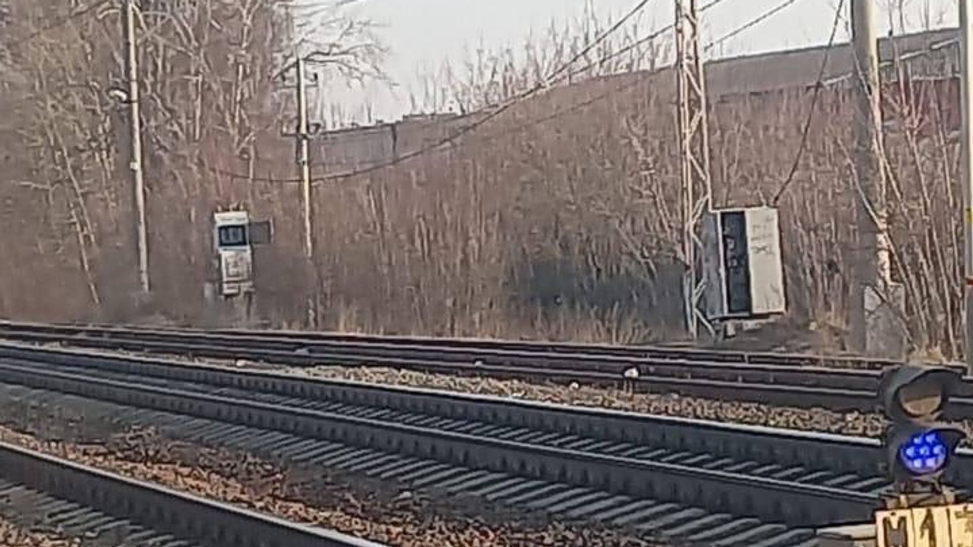 Трое подростков по заданию куратора совершили поджог на ж/д в Подмосковье Трое подростков по заданию куратора совершили поджог на ж/д в Подмосковье - РИА Новости, 1920, 01.04.2025