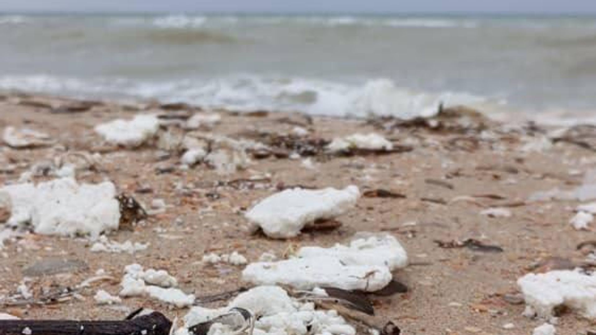 Белое вещество, похожее на пальмовое масло, обнаружено на пляже в Анапе Белое вещество, похожее на пальмовое масло, обнаружено на пляже в Анапе - РИА Новости, 1920, 06.04.2025