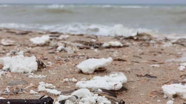 Белое вещество, похожее на пальмовое масло, обнаружено на пляже в Анапе Белое вещество, похожее на пальмовое масло, обнаружено на пляже в Анапе