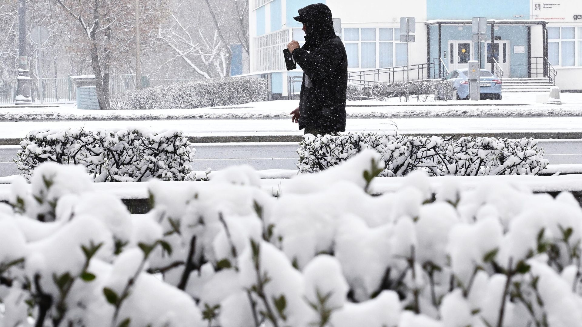 Мужчина во время снегопада в Москве Мужчина во время снегопада в Москве - РИА Новости, 1920, 16.02.2026