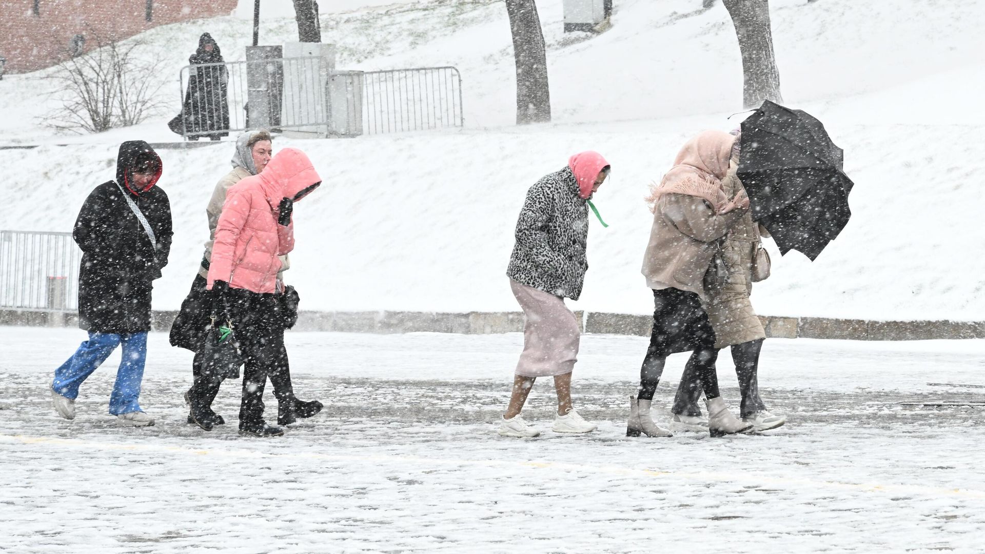 Люди во время снегопада в Москве Люди во время снегопада в Москве - РИА Новости, 1920, 11.02.2026