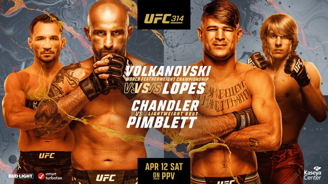 Официальный постер UFC 314