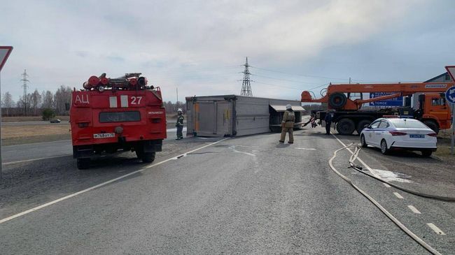 Грузовик с прицепом со свиньями перевернулся в Томской области