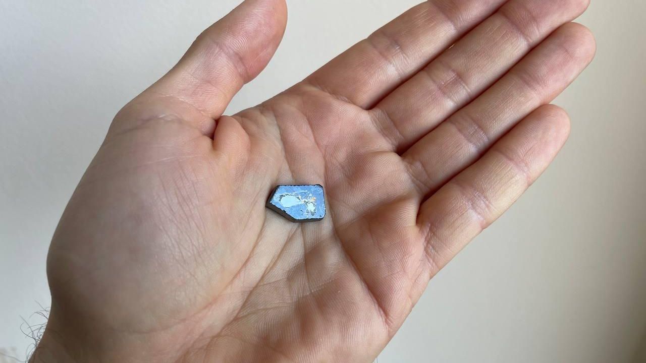 Ольгафранкит на руке исследователя Ольгафранкит на руке исследователя - РИА Новости, 1920, 16.04.2025