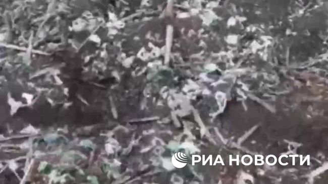 Штурмовики бригады Волки выбили ВСУ с ряда позиций под Часовым Яром