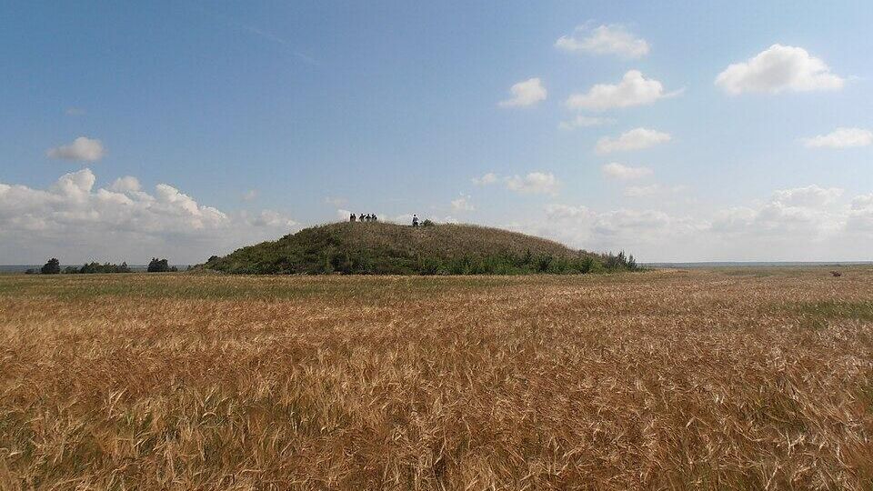 Курган Красногорский, Саргатская культура Курган Красногорский, Саргатская культура - РИА Новости, 1920, 15.04.2025
