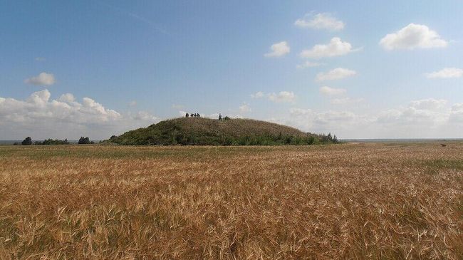 Курган Красногорский, Саргатская культура