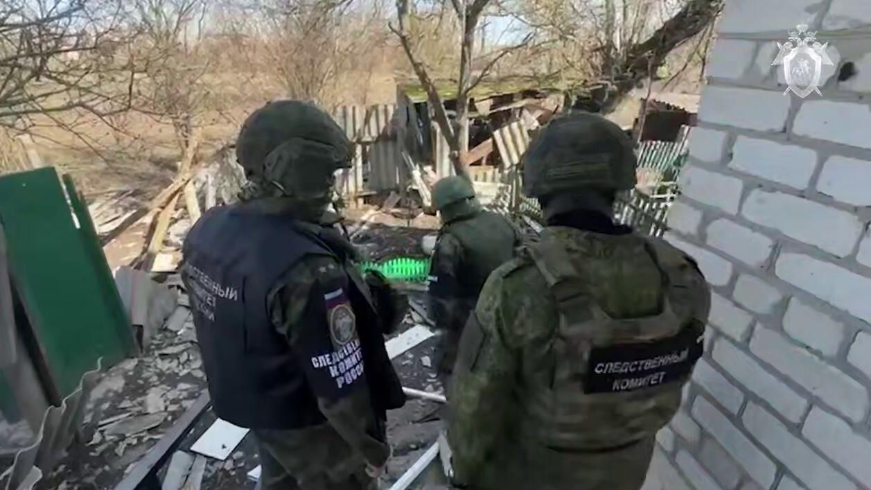 Сотрудники Следственного комитета в Курской области Сотрудники Следственного комитета в Курской области - РИА Новости, 1920, 23.10.2025