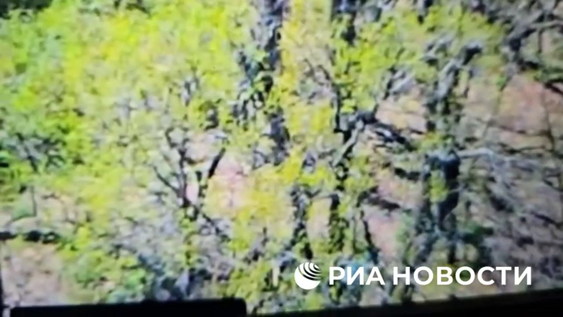 Перемещение артиллерии и пехоты ВСУ во время пасхального перемирия - РИА Новости, 1920, 21.04.2025
