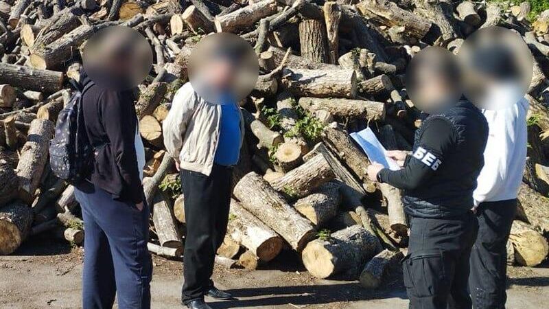 На Украине чиновники и предприниматели растратили более двух миллионов долларов бюджетных средств, выделенных на закупку дров для ВСУ - РИА Новости, 1920, 29.04.2025