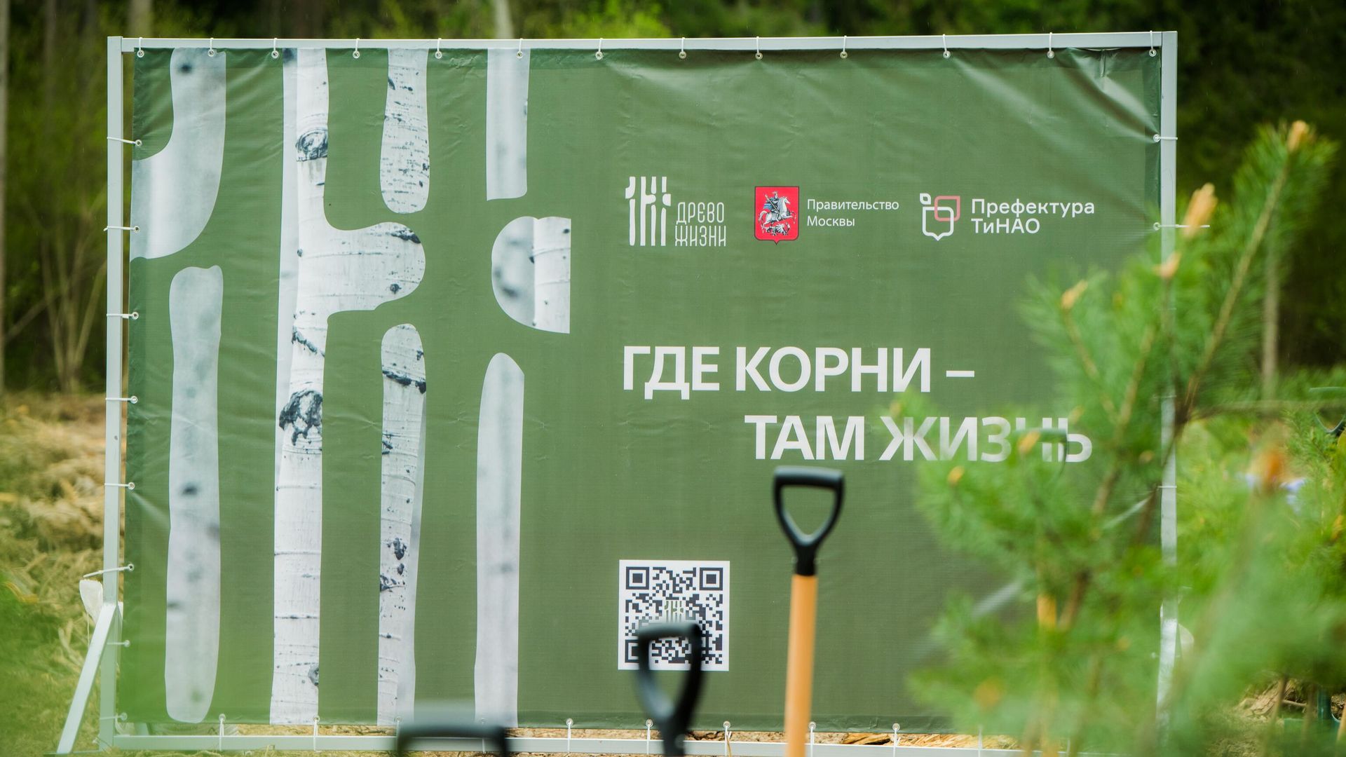 В Новой Москве высадили порядка пяти тысяч саженцев лесных культур В Новой Москве высадили порядка пяти тысяч саженцев лесных культур - РИА Новости, 1920, 30.04.2025