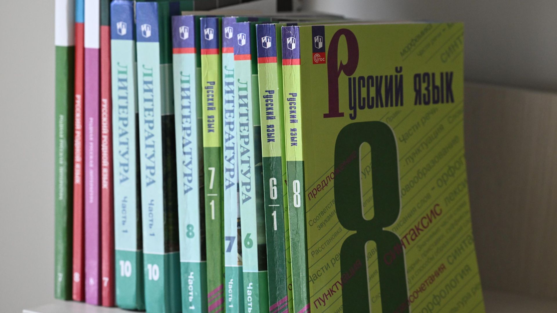 Учебник русского языка в школе - РИА Новости, 1920, 11.11.2025
