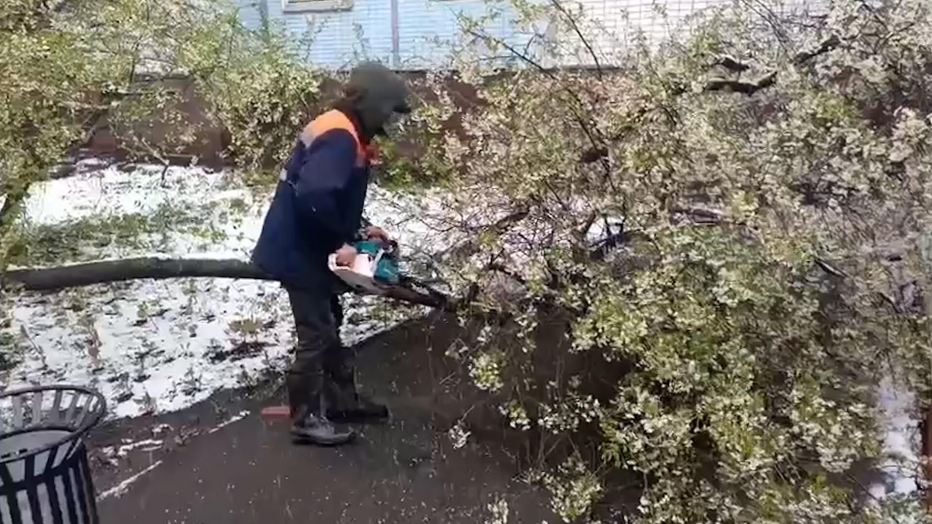 Коммунальные службы Москвы устраняют последствия снегопада Коммунальные службы Москвы устраняют последствия снегопада - РИА Новости, 1920, 02.05.2025