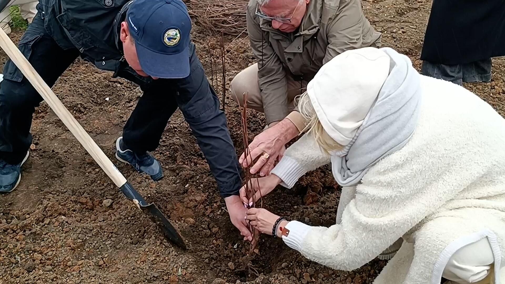 Церемония высадки масштабного геоглифа, посвященного 80-летию Великой Победы Церемония высадки масштабного геоглифа, посвященного 80-летию Великой Победы - РИА Новости, 1920, 03.05.2025