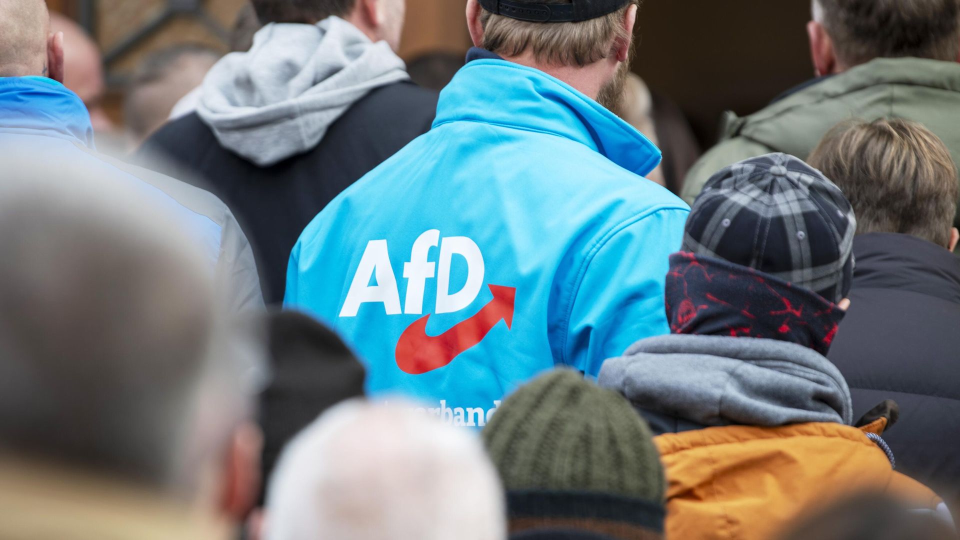 Логотип партии Альтернатива для Германии Логотип партии Альтернатива для Германии - РИА Новости, 1920, 18.10.2025