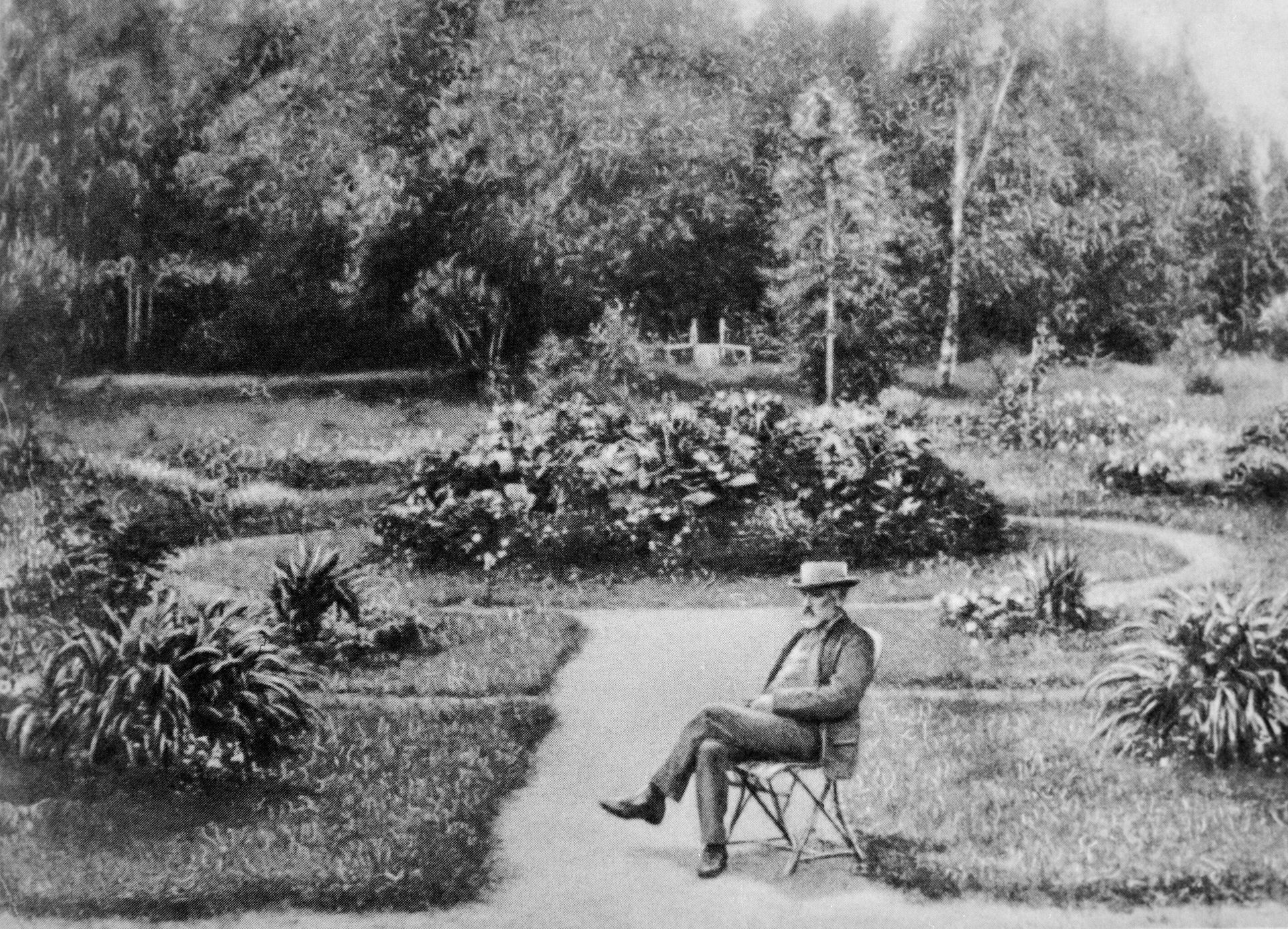 Русский композитор Петр Ильич Чайковский во Фроловском - РИА Новости, 1920, 01.11.2025