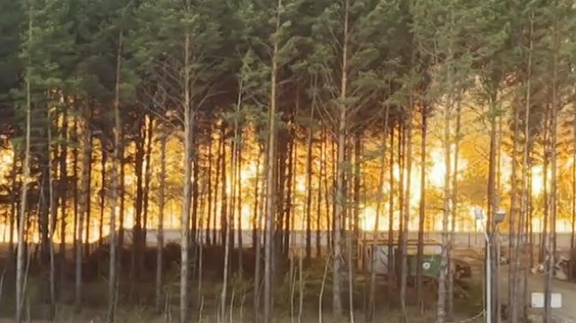 Природный пожар у населенного пункта Циолковский в Амурской области