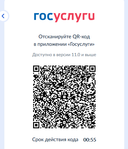 Интерфейс приложения Госуслуги - РИА Новости, 1920, 15.05.2025