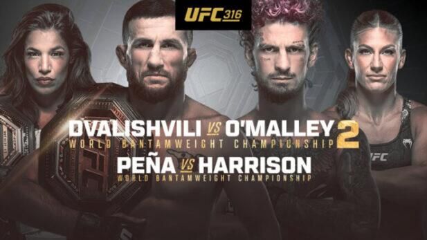 Официальный постер UFC 316 Официальный постер UFC 316 - РИА Новости, 1920, 08.06.2025