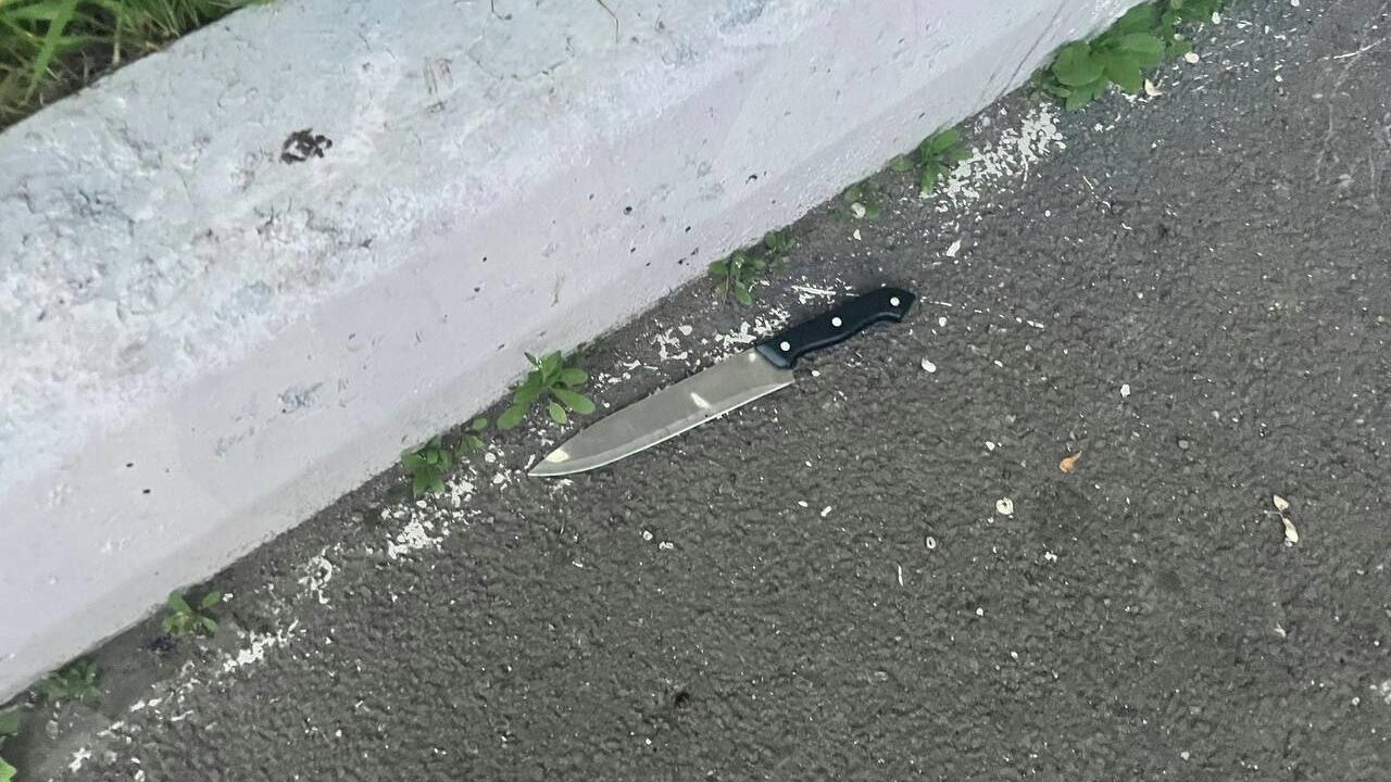 Нож, с которым мужчина напал на прохожего во дворе жилых домов в Красноярске Нож, с которым мужчина напал на прохожего во дворе жилых домов в Красноярске - РИА Новости, 1920, 06.06.2025
