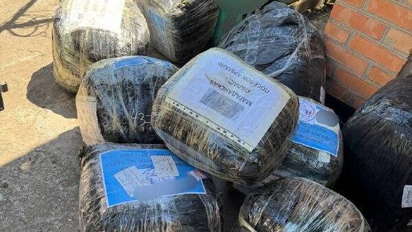 Партия посылок из Магаданской области для бойцов СВО Партия посылок из Магаданской области для бойцов СВО - РИА Новости, 1920, 18.06.2025