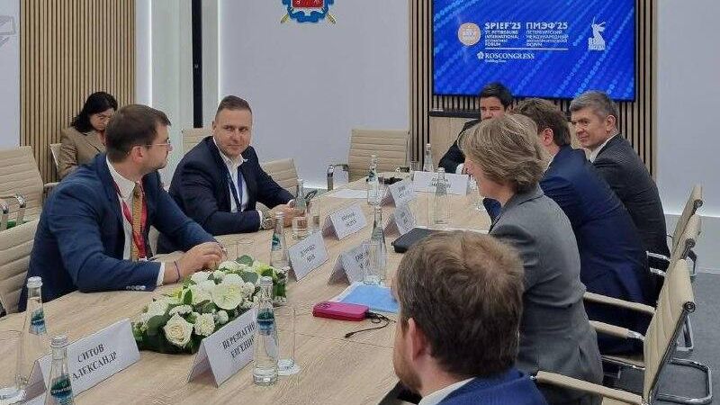 Дискуссионная сессия Продвижение отечественной продукции на внешних рынках и стимулирование роста несырьевого неэнергетического экспорта на полях Петербургского международного экономического форума - РИА Новости, 1920, 18.06.2025