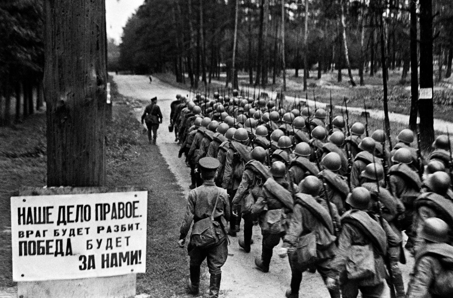 Великая Отечественная война 1941-1945 гг. Великая Отечественная война 1941-1945 гг.