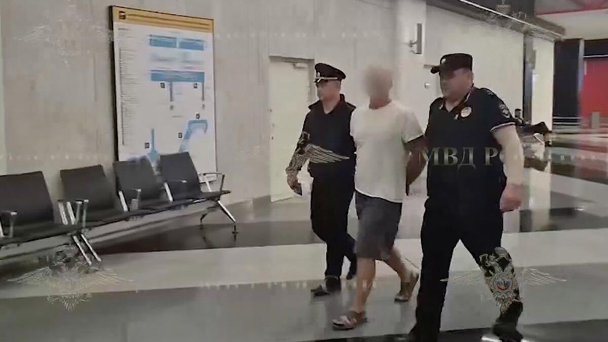 Мужчина, задержанный за нападение на ребенка в аэропорту Шереметьево - РИА Новости, 1920, 24.06.2025