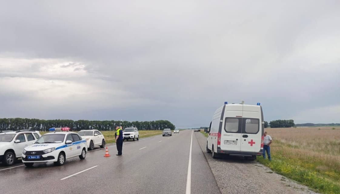 Сотрудники полиции работают на месте ДТП в Алтайском крае, в котором погибли люди - РИА Новости, 1920, 30.06.2025