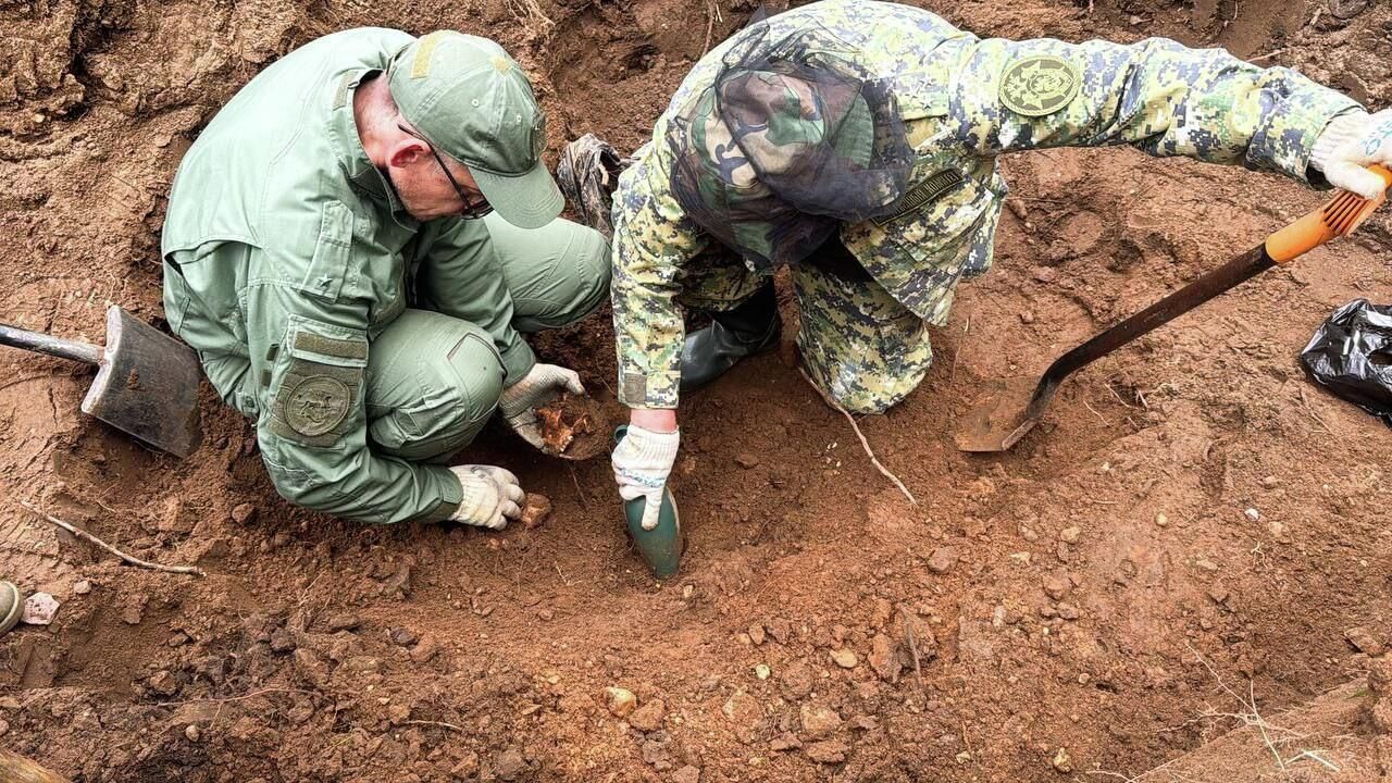 СК обнаружил останки жертв немецко-фашистских захватчиков на территории дома в Псковской области СК обнаружил останки жертв немецко-фашистских захватчиков на территории дома в Псковской области - РИА Новости, 1920, 03.07.2025