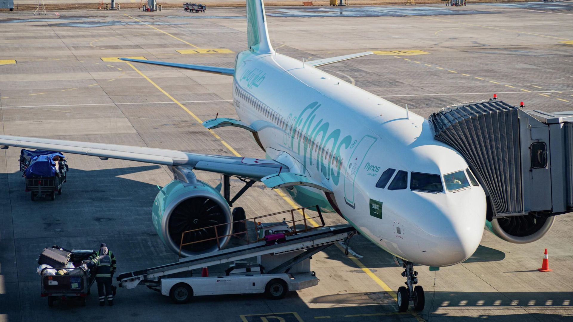Самолет Airbus A320 авиакомпании Flynas Самолет Airbus A320 авиакомпании Flynas - РИА Новости, 1920, 20.10.2025
