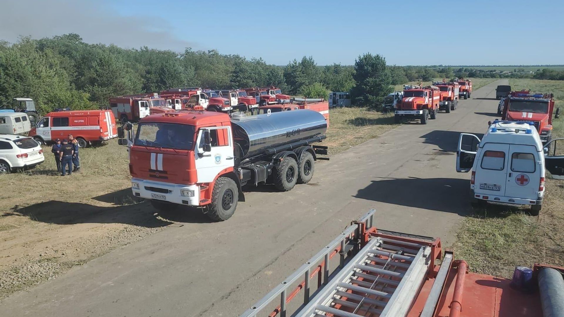 Ликвидация пожара на территории Каменского лесничества в Ростовской области Ликвидация пожара на территории Каменского лесничества в Ростовской области - РИА Новости, 1920, 10.07.2025