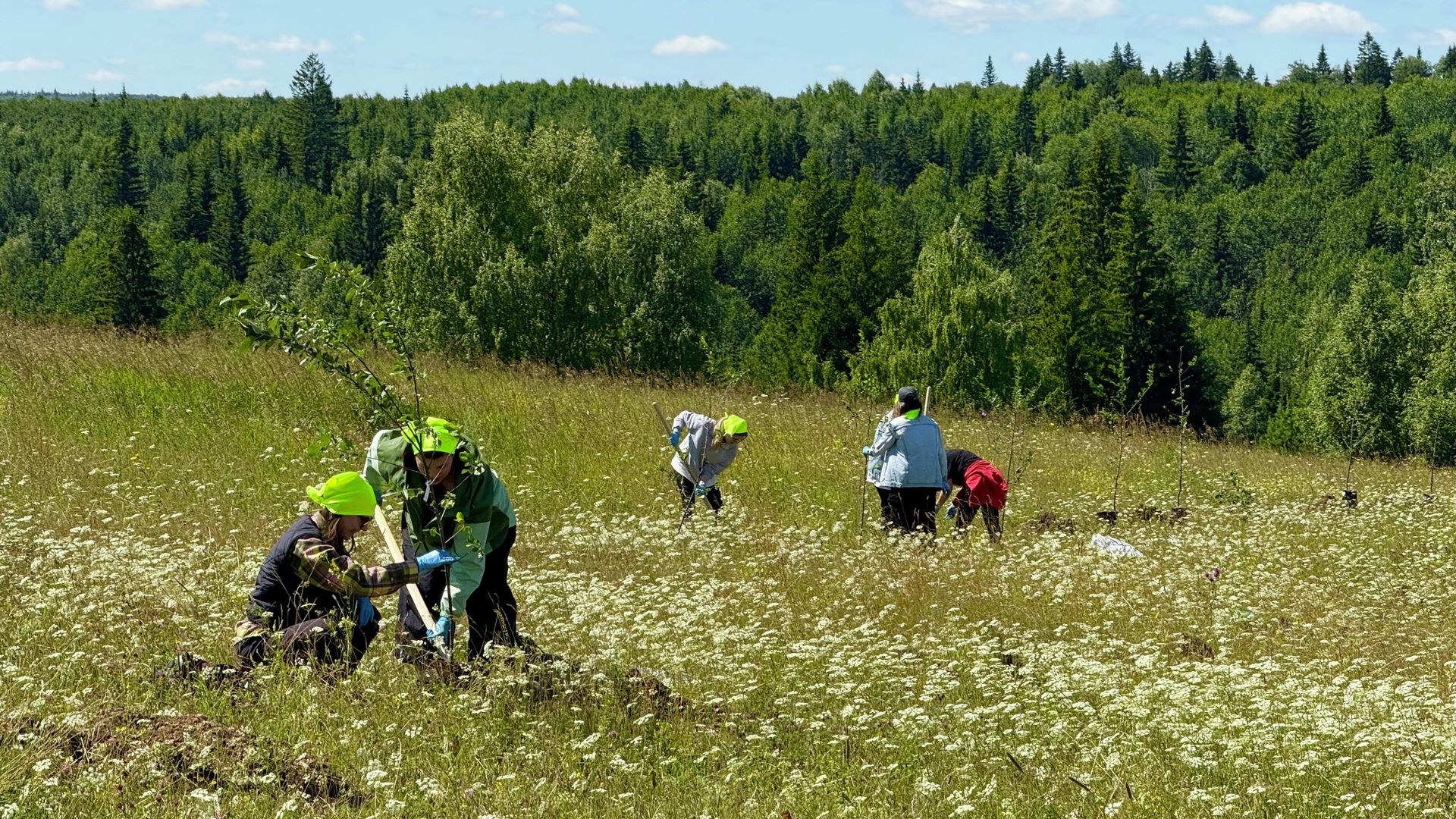 Сотрудники парфюмерно-косметической торговой сети Золотое яблоко посадили яблоневый сад в деревне Малый Турыш Сотрудники парфюмерно-косметической торговой сети Золотое яблоко посадили яблоневый сад в деревне Малый Турыш - РИА Новости, 1920, 22.07.2025
