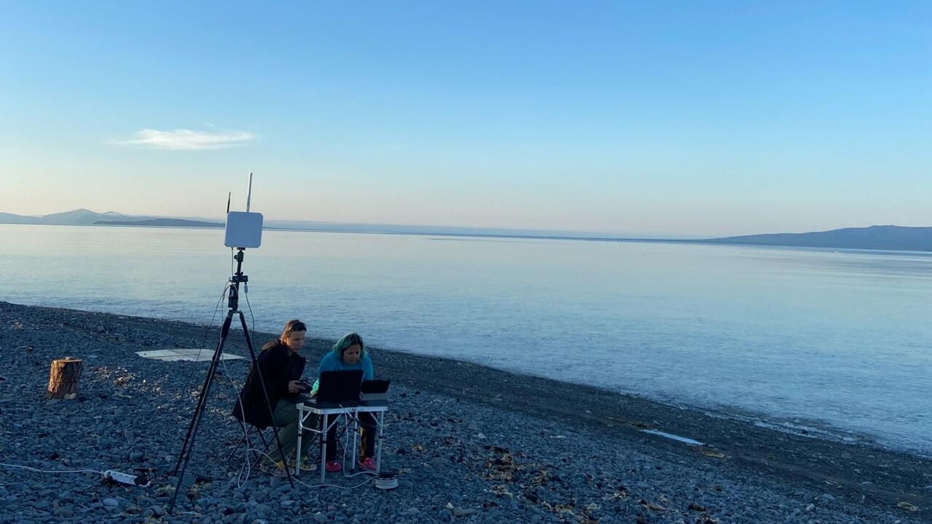 Краснокнижным гренландским китам в Охотском море установили спутниковые передатчики с помощью беспилотника - РИА Новости, 1920, 23.07.2025