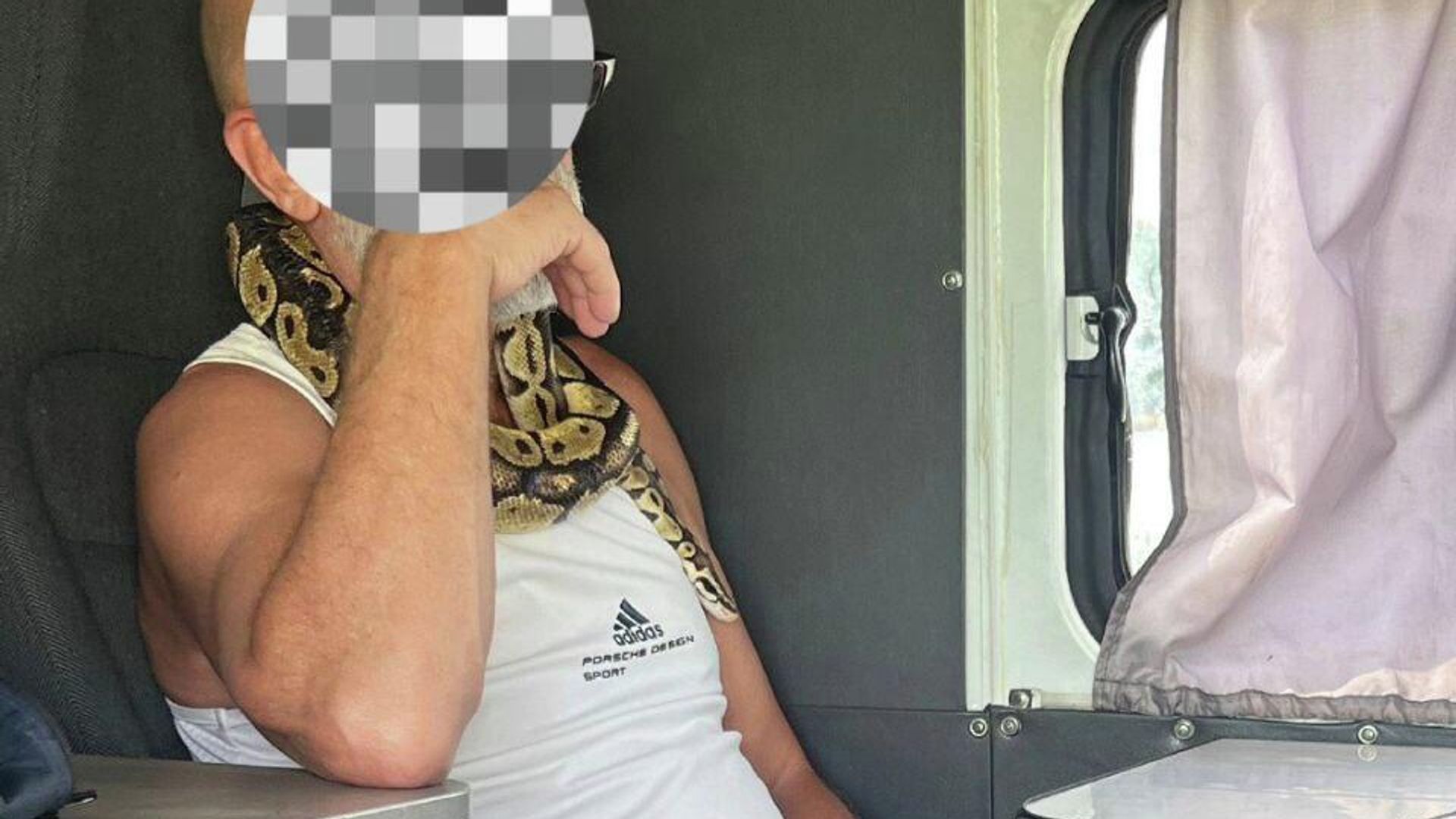 Пьяный житель Камчатки со змеей приехал в ГАИ жаловаться на лишение прав. Пьяный житель Камчатки со змеей приехал в ГАИ жаловаться на лишение прав. - РИА Новости, 1920, 24.07.2025