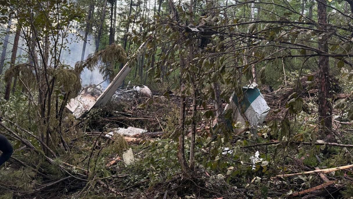 Место крушения пассажирского самолета Ан-24 в Амурской области Место крушения пассажирского самолета Ан-24 в Амурской области - РИА Новости, 1920, 13.01.2026