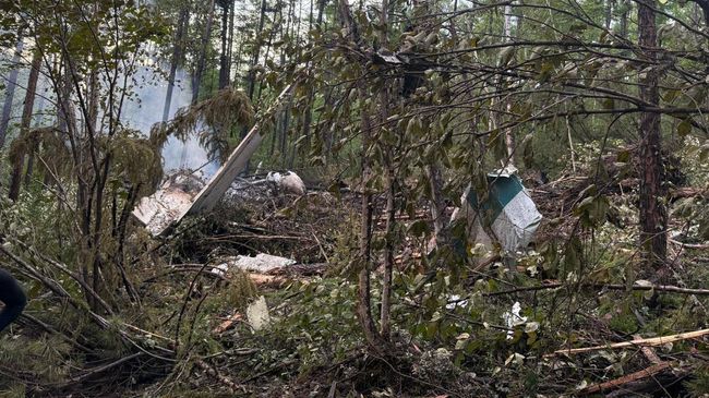 Место крушения пассажирского самолета Ан-24 в Амурской области