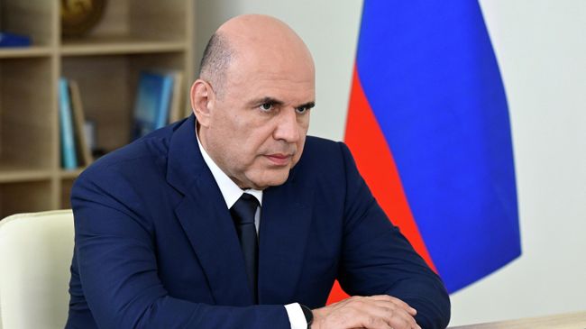 Председатель правительства РФ Михаил Мишустин во время встречи с губернатором Омской области Виталием Хоценко