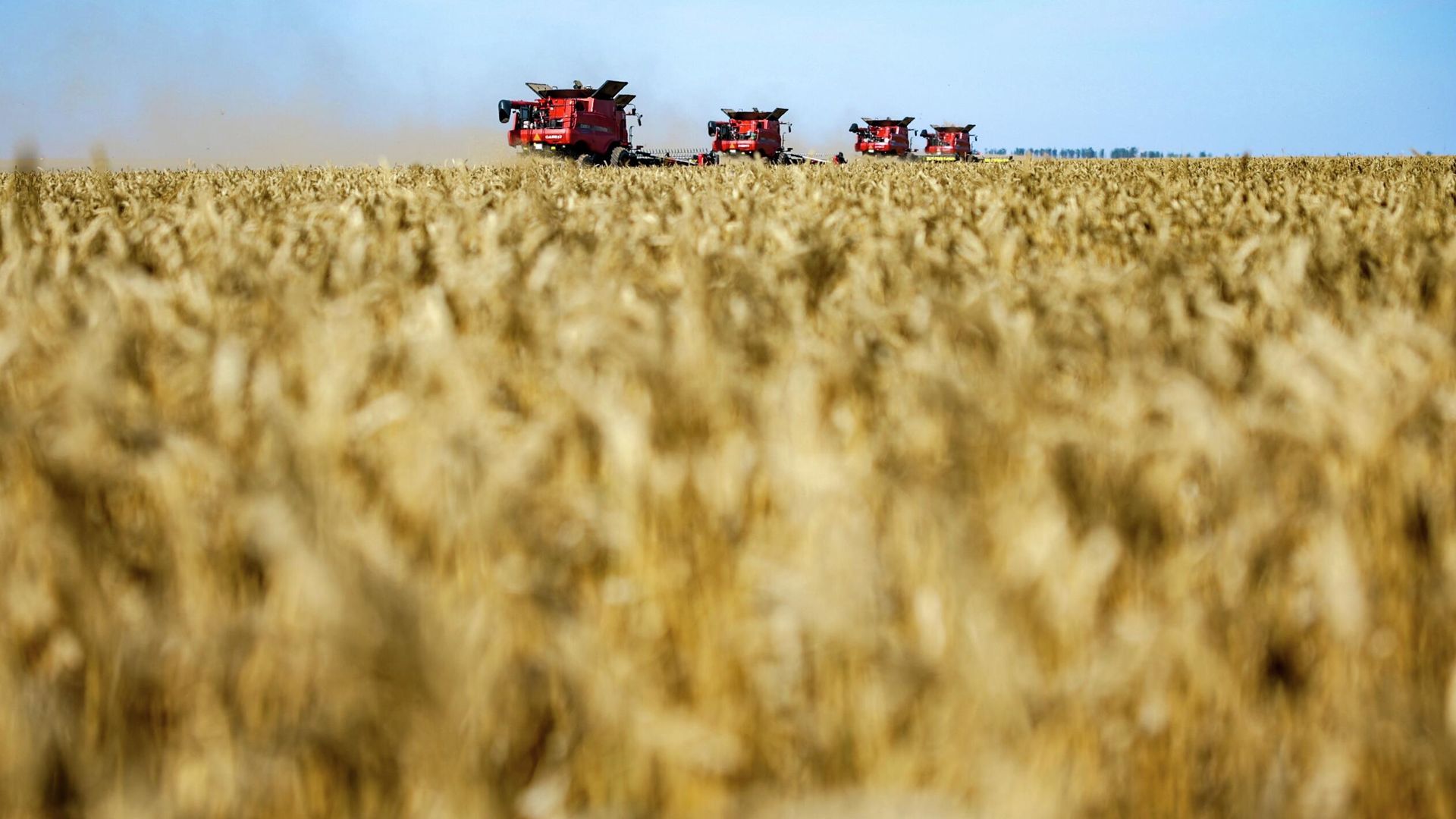 Уборка урожая пшеницы в Волгоградской области Уборка урожая пшеницы в Волгоградской области - РИА Новости, 1920, 25.03.2026