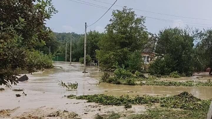 Подтопления в результате подъёма воды в реке Чепси в селе Фанагорийском Краснодарского края Подтопления в результате подъёма воды в реке Чепси в селе Фанагорийском Краснодарского края - РИА Новости, 1920, 03.08.2025
