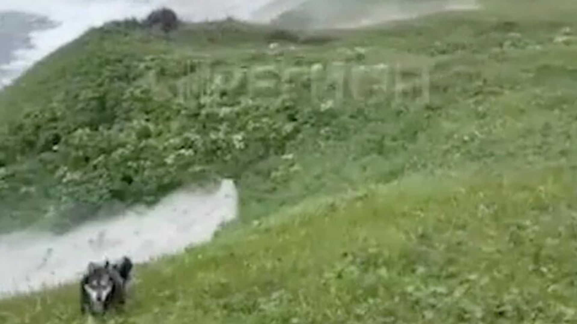 Цунами в районе бухты Вестник на Камчатке Цунами в районе бухты Вестник на Камчатке - РИА Новости, 1920, 04.08.2025