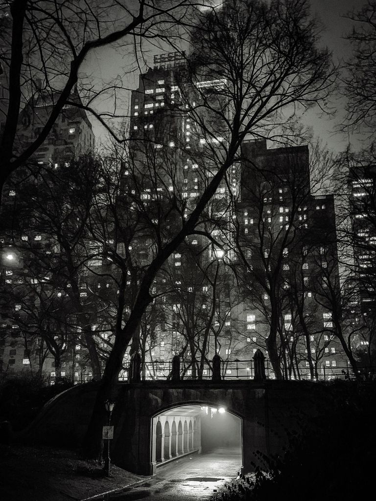 Снимок Passage фотографа из США Carol Addassi, победивший в категории Photographer of the Year конкурса IPPAWARDS 2025 Снимок Passage фотографа из США Carol Addassi, победивший в категории Photographer of the Year конкурса IPPAWARDS 2025