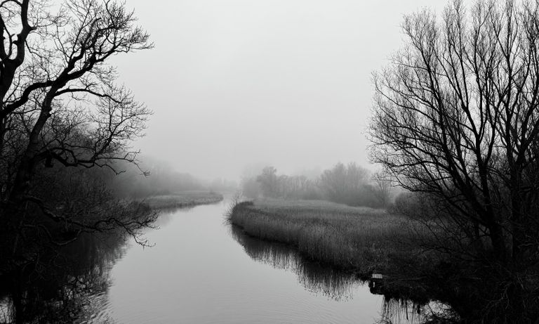 Снимок Lübeck Amazonas фотографа из Германии Jens Petersen, победивший в категории Landscape конкурса IPPAWARDS 2025 Снимок Lübeck Amazonas фотографа из Германии Jens Petersen, победивший в категории Landscape конкурса IPPAWARDS 2025